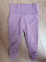 Steiff Baby Leggings lila Flieder 74 80 Hose Jogger Niedersachsen - Vechelde Vorschau