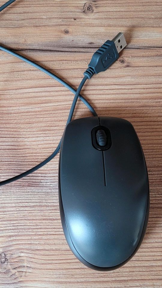 Computerbildschirm, Tastatur und Maus in Barleben
