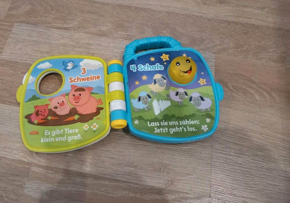 Fisher Price Buch mit Musik und Licht in Cadolzburg