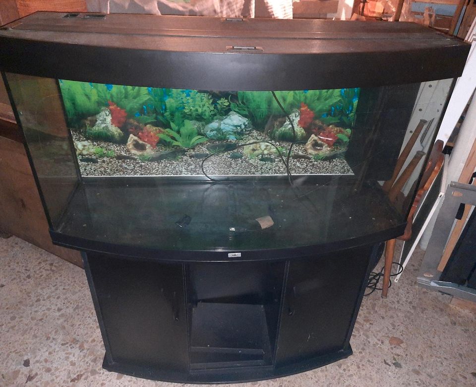 Juwel Vision 260 Aquarium mit Unterschrank in Thiendorf