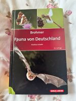 Fauna von Deutschland Brohmer Schleswig-Holstein - Kiel Vorschau