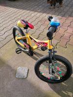 Kinderfahrrad Scott 16 Zoll Sachsen-Anhalt - Annaburg Vorschau