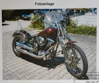 Harley Davidson FXSTS -  Softail Springer Bayern - Neufahrn Vorschau