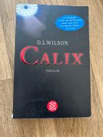 CALIX: Thriller Dresden - Innere Altstadt Vorschau