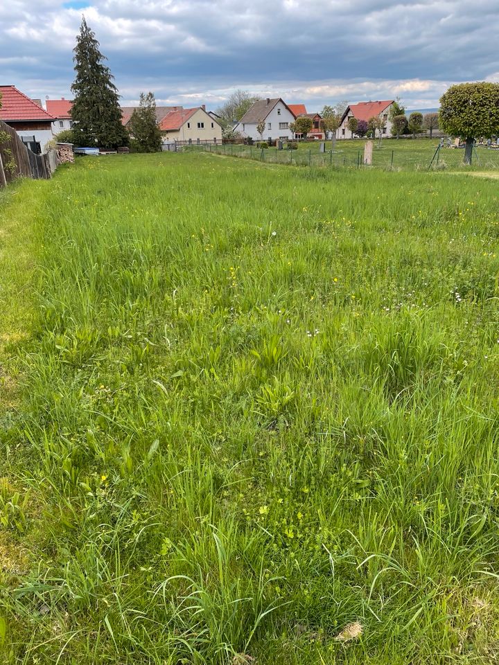 Wiese zum Abmähen von Gras oder für Heugewinnung in Wüllersleben in Erfurt