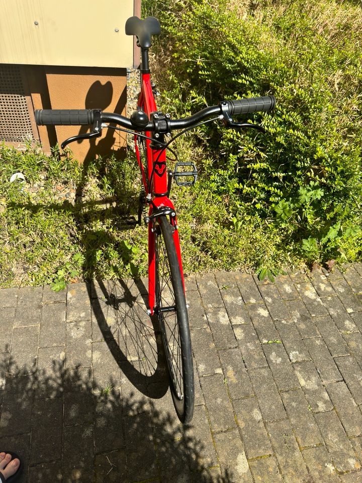 Bonvelo Blizz Red Flag Fahrrad rot neuwertig Rahmen 53 cm in Kiel