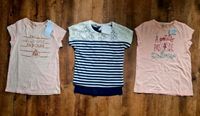 3 Shirts Gr.146/152 NEU! Berlin - Pankow Vorschau