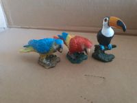 Papagei rot 14329 + blau 14188 & Tucan 14328 Schleich Kreis Ostholstein - Bad Schwartau Vorschau