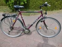 Fahrrad Rahmenset CrMo 28 cm Giant Kreis Pinneberg - Heidgraben Vorschau