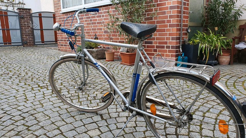 Fahrrad Herkules - Herrenfahrrad in Zeil