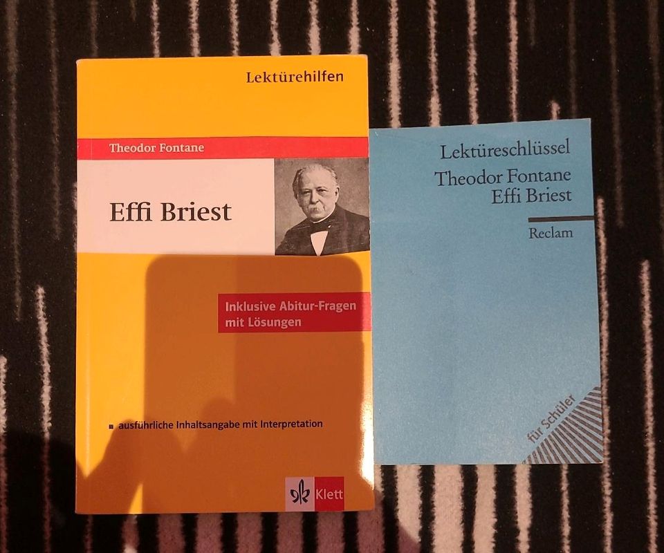 Effi Briest, Fontane - Buch und Lektüreschlüssel / Lektürehilfe in Dortmund