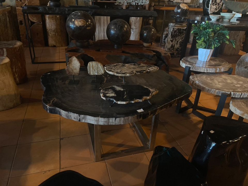 Tisch Fossil Natur Stein Versteinertes Holz Couchtisch Esstisch in Stelle