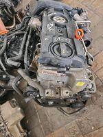 Vw Golf Motor 1.4 TFSI CAXA Schlachtfest Ersatzteile Ausschlachte Niedersachsen - Westerwalsede Vorschau