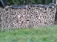 Fichten Brennholz, trocken, ofenfertig Baden-Württemberg - Wangen im Allgäu Vorschau
