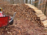 Premium Brennholz Feuerholz Niedersachsen - Nörten-Hardenberg Vorschau