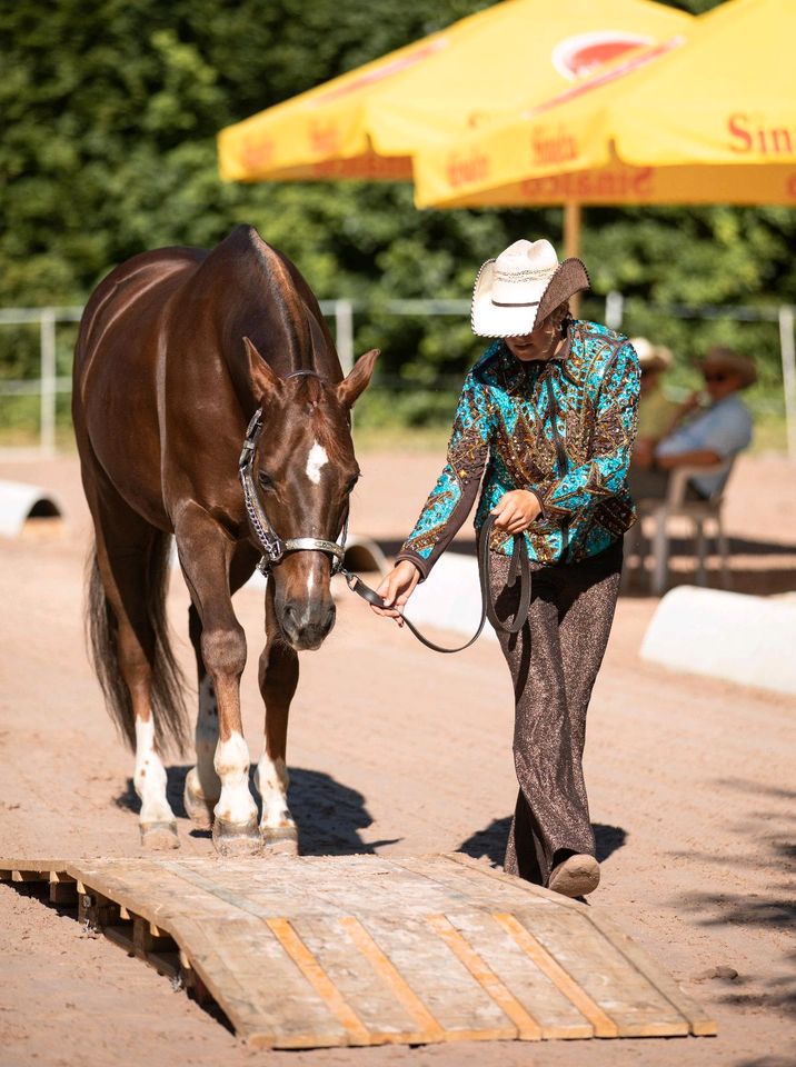 Western Show Outfit Set Jacke Blanket Fliegenhaube in Möglingen 