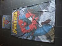 Bettwäsche Spiderman / Spider-Man Münster (Westfalen) - Centrum Vorschau