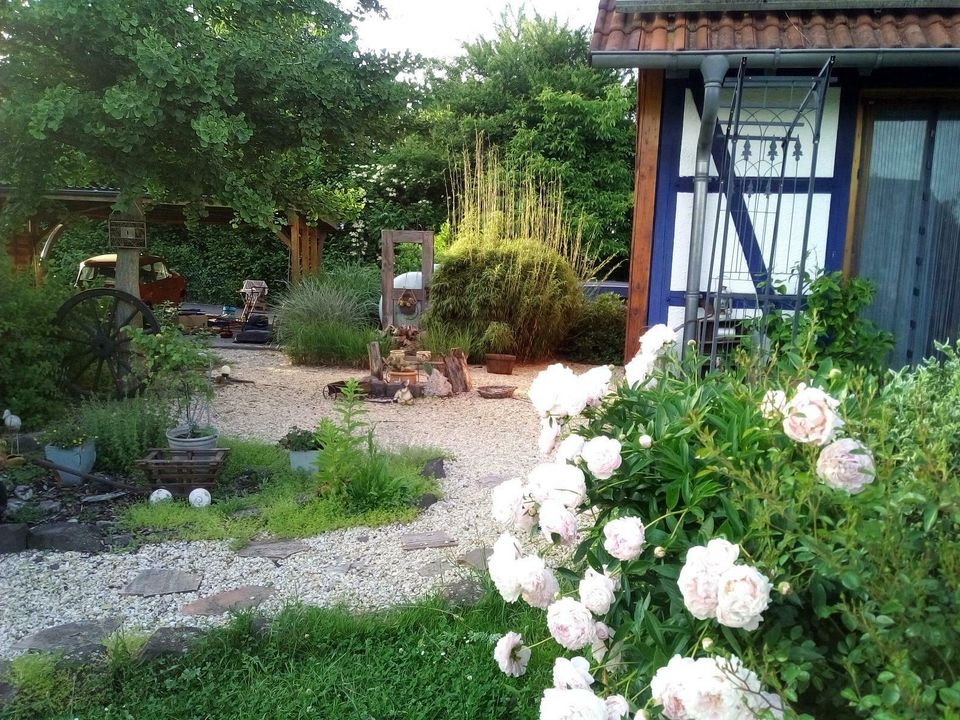 Ferienwohnung Monteur Nidda Vogelsberg Wetterau Wandern Radfahren in Nidda