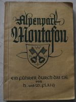 Alpenpark Montafon; Führer durch das Tal und kleine Heimatkunde, Rheinland-Pfalz - Neustadt an der Weinstraße Vorschau