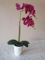 Orchidee künstlich pink Brandenburg - Luckenwalde Vorschau