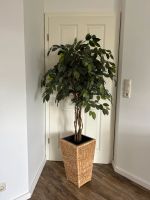 Künstlicher Benjamini Ficus Bäumchen 145 cm hoch Niedersachsen - Apen Vorschau