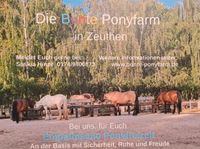Empathische Ponyfreizeit, Bunte Ponyfarm. Brandenburg - Zeuthen Vorschau