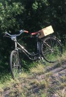 Oldtimer Vintage Fahrrad BJ ca. 1956 Rheinland-Pfalz - Speyer Vorschau