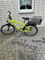 Pegasus Fahrrad Nordrhein-Westfalen - Gütersloh Vorschau