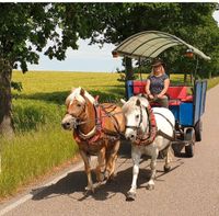 Kremser / Planenwagen / Kutsche Sachsen - Klingenberg Vorschau