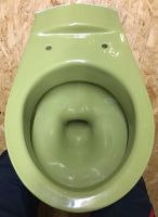 WC Wandtoilette grün Baden-Württemberg - Walddorfhäslach Vorschau