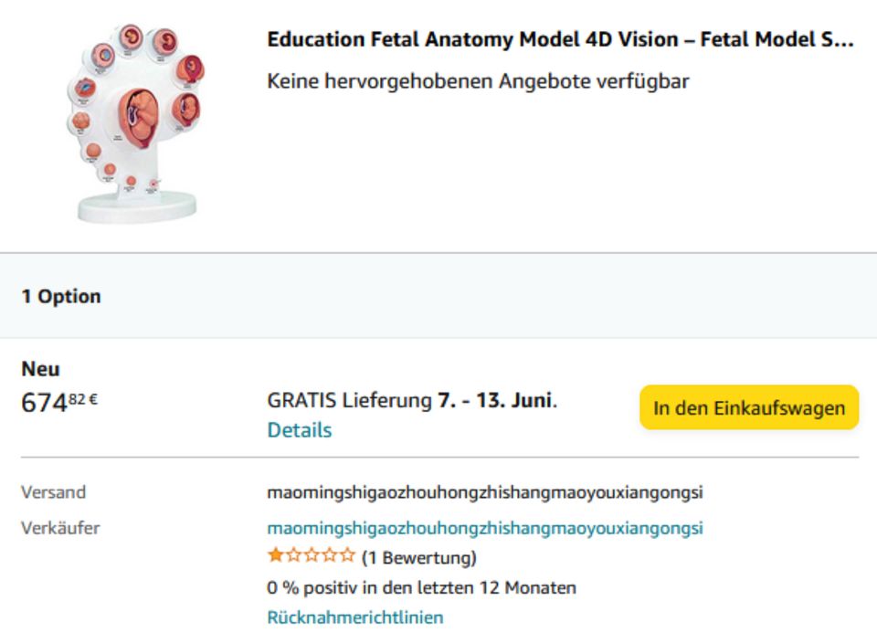 Embryo Lernset Schule 3D 4D Model Kinder in Nersingen