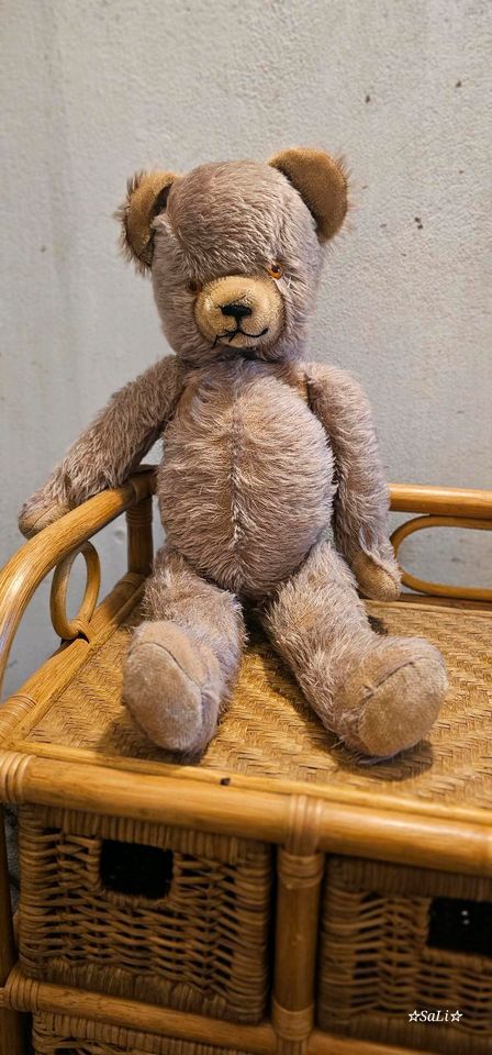 Teddy Antik mit Stroh gefüllt in Ottendorf-Okrilla