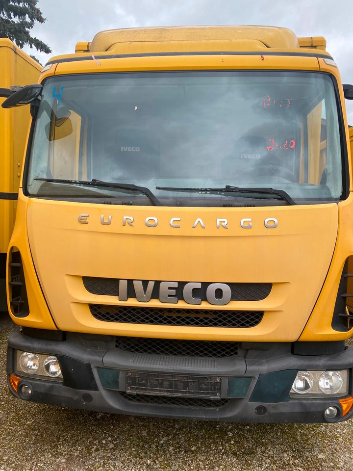 Iveco LKW Eurocargo 7,49 Bär Ladebordwand LBW M752 in Garrel