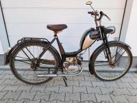 Phänomen 67 F Moped 50er Sachs Oldtimer Nordrhein-Westfalen - Warstein Vorschau