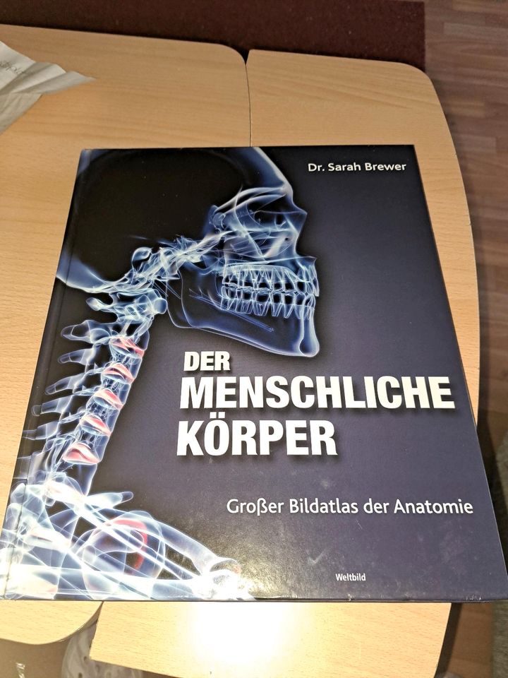 Der menschliche körper Buch in Grimmen