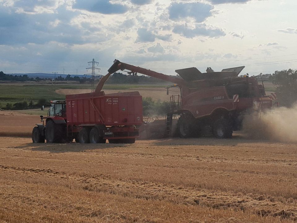 Lohndrusch Mähdrescher Case IH Axial Flow 5140 in Amberg