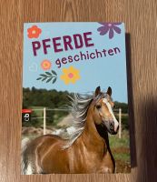 Buch Pferdegeschichten Ilmenau - Jesuborn Vorschau