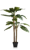 Dekopflanze / Kunstbaum Habufa Meubelen Banana Tree 10902655 Baden-Württemberg - Waldshut-Tiengen Vorschau