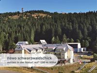 Pfingstferien + Sommerferien im Schwarzwald - Fewo für 2-4 Freiburg im Breisgau - Feldberg Vorschau