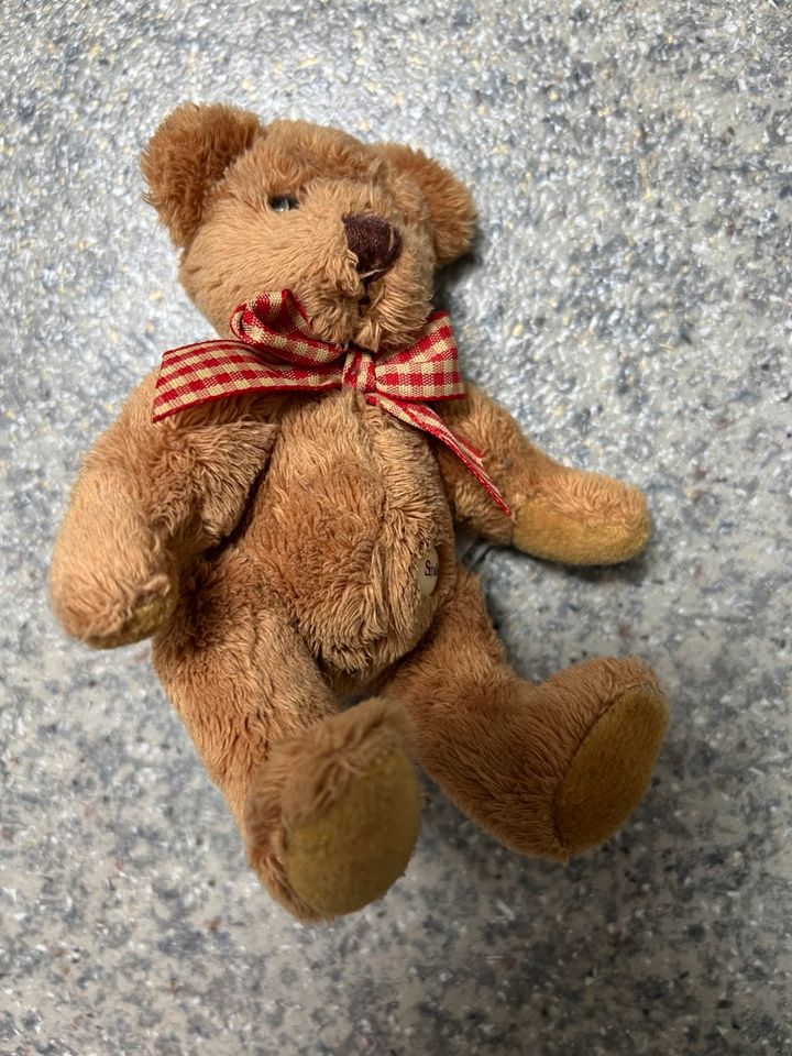 Kleiner Sunkid Teddy in Hamburg