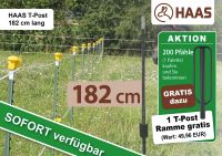 HAAS T-Post 182 cm – 200 Pfähle + 1 Ramme GRATIS Nordrhein-Westfalen - Nümbrecht Vorschau