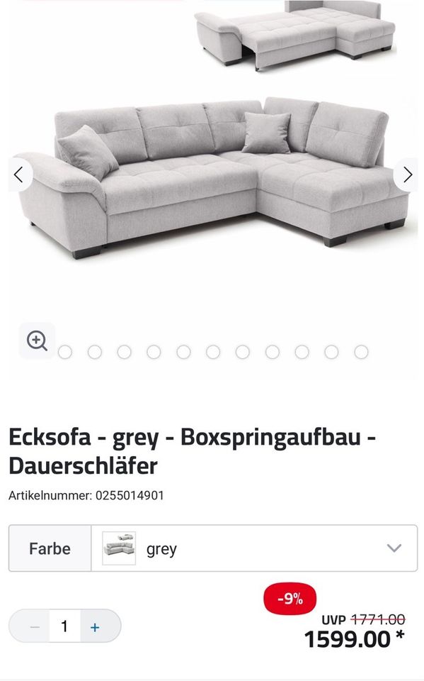 Ecksofa mit Schlaffunktion und Staufunktion in Regensburg