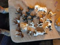 14 Schleich Tiere Pferde Schleswig-Holstein - Boksee Vorschau