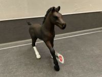 Pferd / Fohlen Schleich NEU‼️ Sachsen - Penig Vorschau