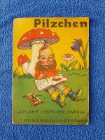 Uraltes Bilderbuch, Pilzchen, Aus dem Leben der Zwerge (Kirchbach Leipzig - Knautkleeberg-Knauthain Vorschau