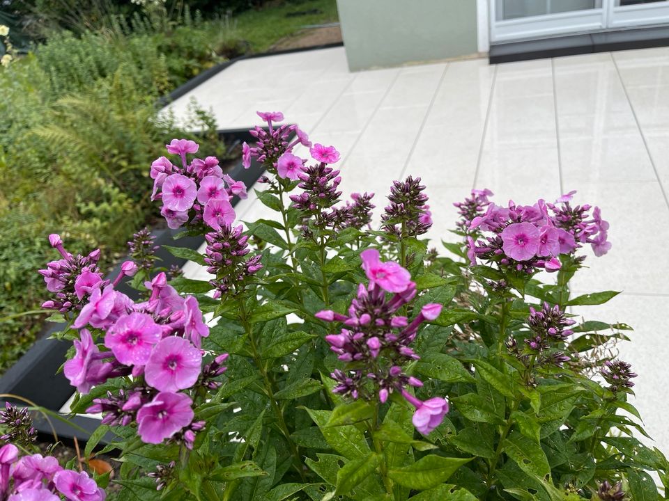 Gartengestaltung in Königstein im Taunus