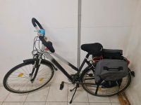 28" Zoll Fahrrad Nordrhein-Westfalen - Steinheim Vorschau