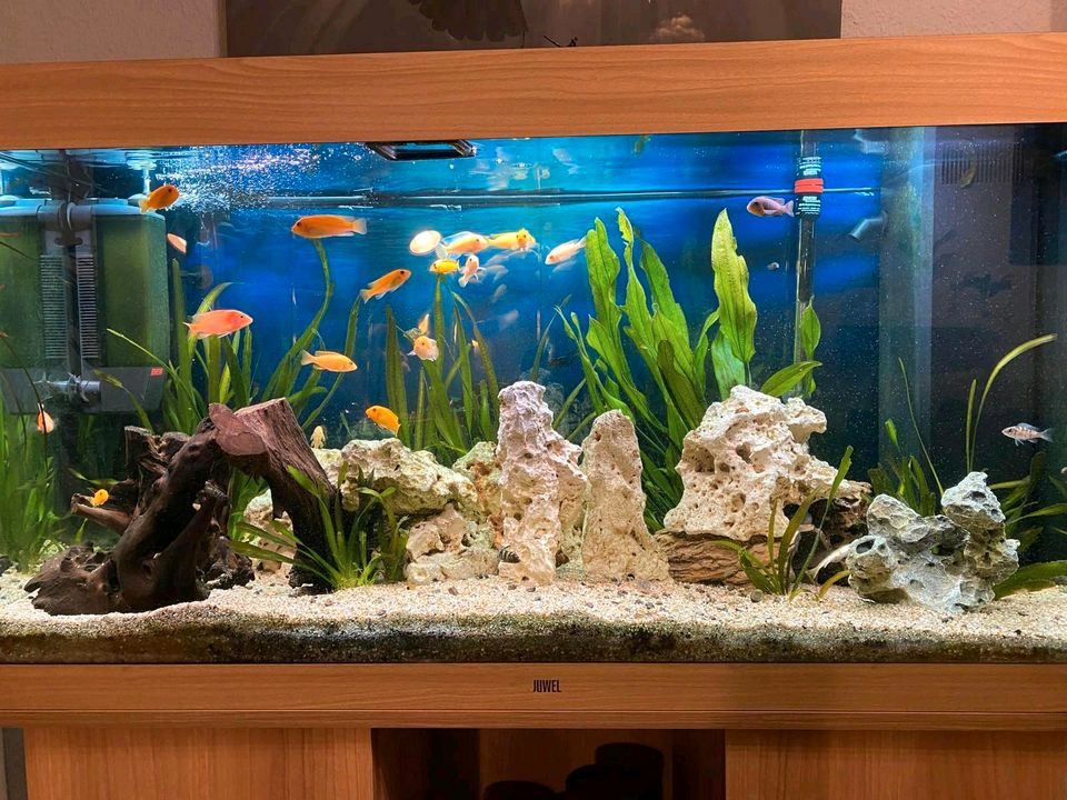 Aquarium mit Unterschrank von Juwel 350l in Pöhl