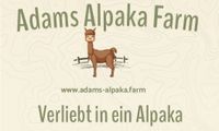 Alpaka Wanderung / Kindergeburtstag / Hochzeit / Shooting usw. Sachsen-Anhalt - Weißenfels Vorschau