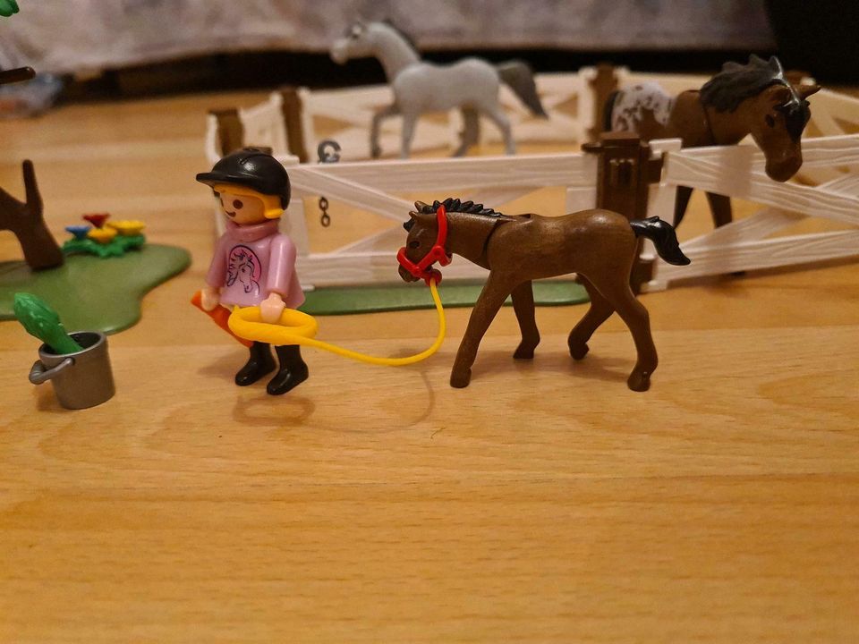 Playmobil Pferdeset 6931 in Hambühren